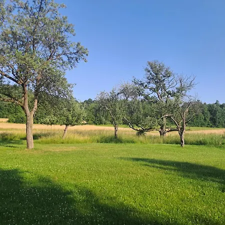 Sudetský Grunt Autentická Jesenická Vila Loučná nad Desnou